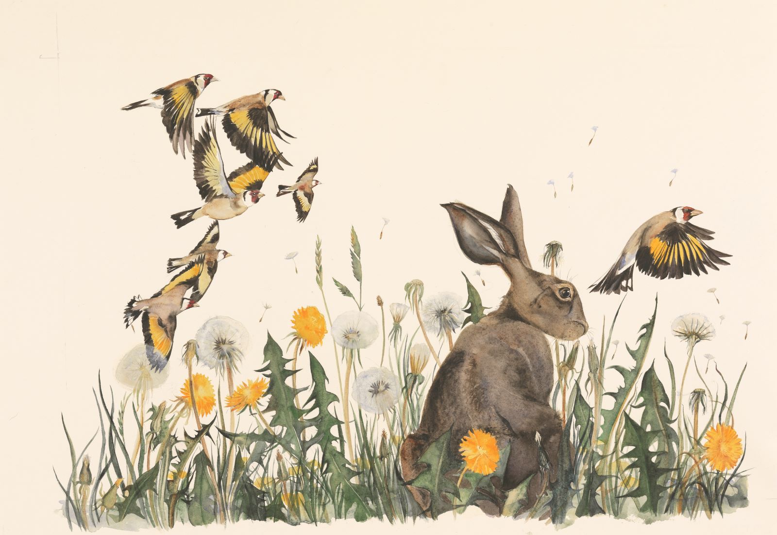 Painting by Jackie Morris showing a hare and dandelions.